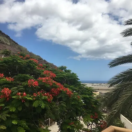 El Flamboyan